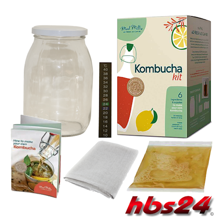 Kombucha Starter Kit mit lebenden Kombucha Kulturen hbs24